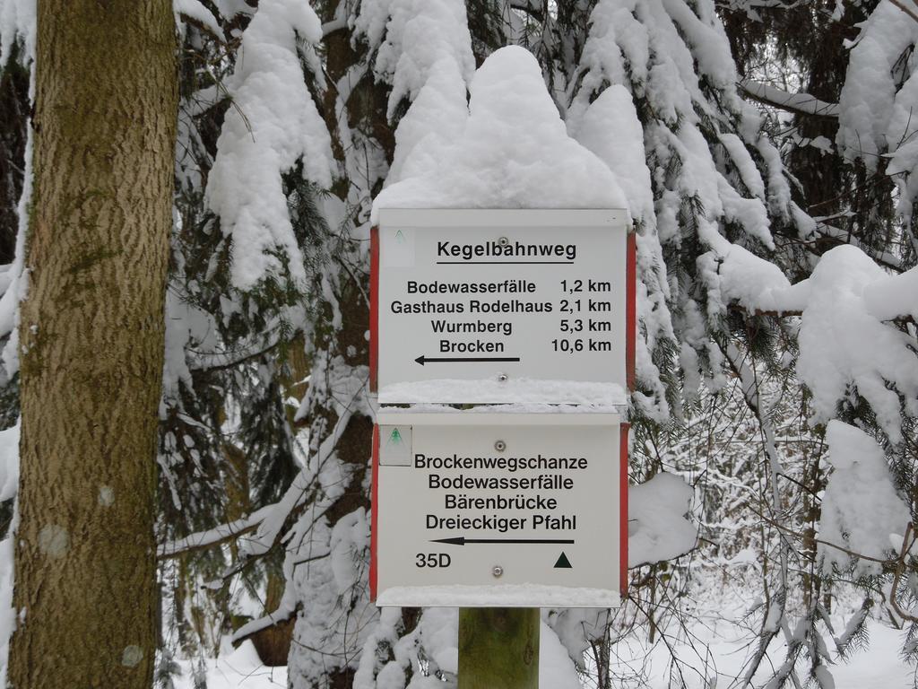 Blockhaus Bodefall Braunlage Rum bild
