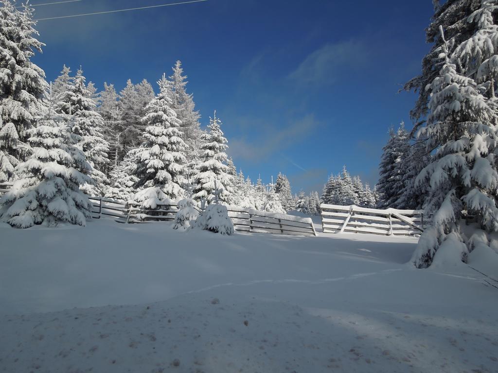 Blockhaus Bodefall Braunlage Rum bild