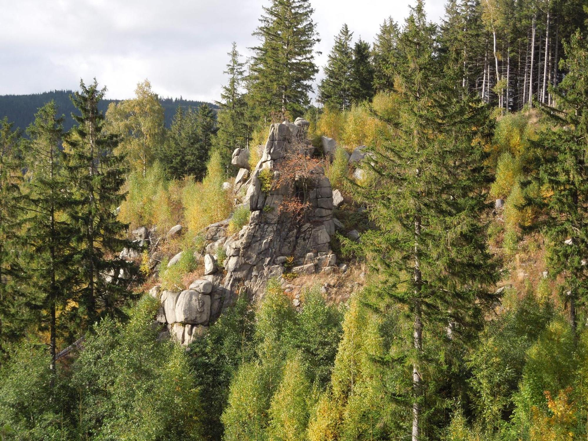 Blockhaus Bodefall Braunlage Exteriör bild