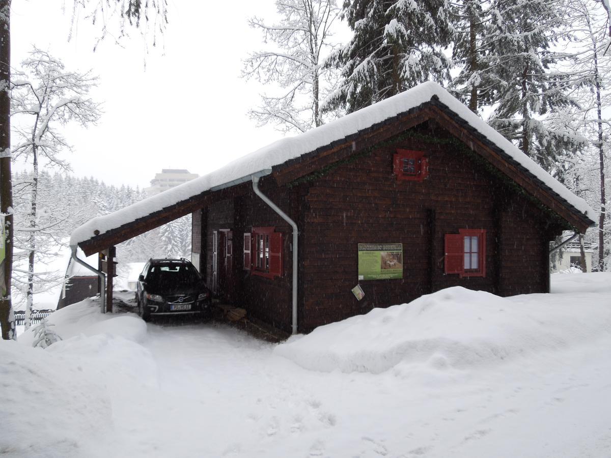 Blockhaus Bodefall Braunlage Exteriör bild